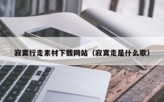南平寂寞行走素材下载网站（寂寞走是什么歌）